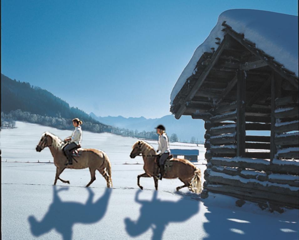Hotel Schoerhof Saalfelden Dış mekan fotoğraf